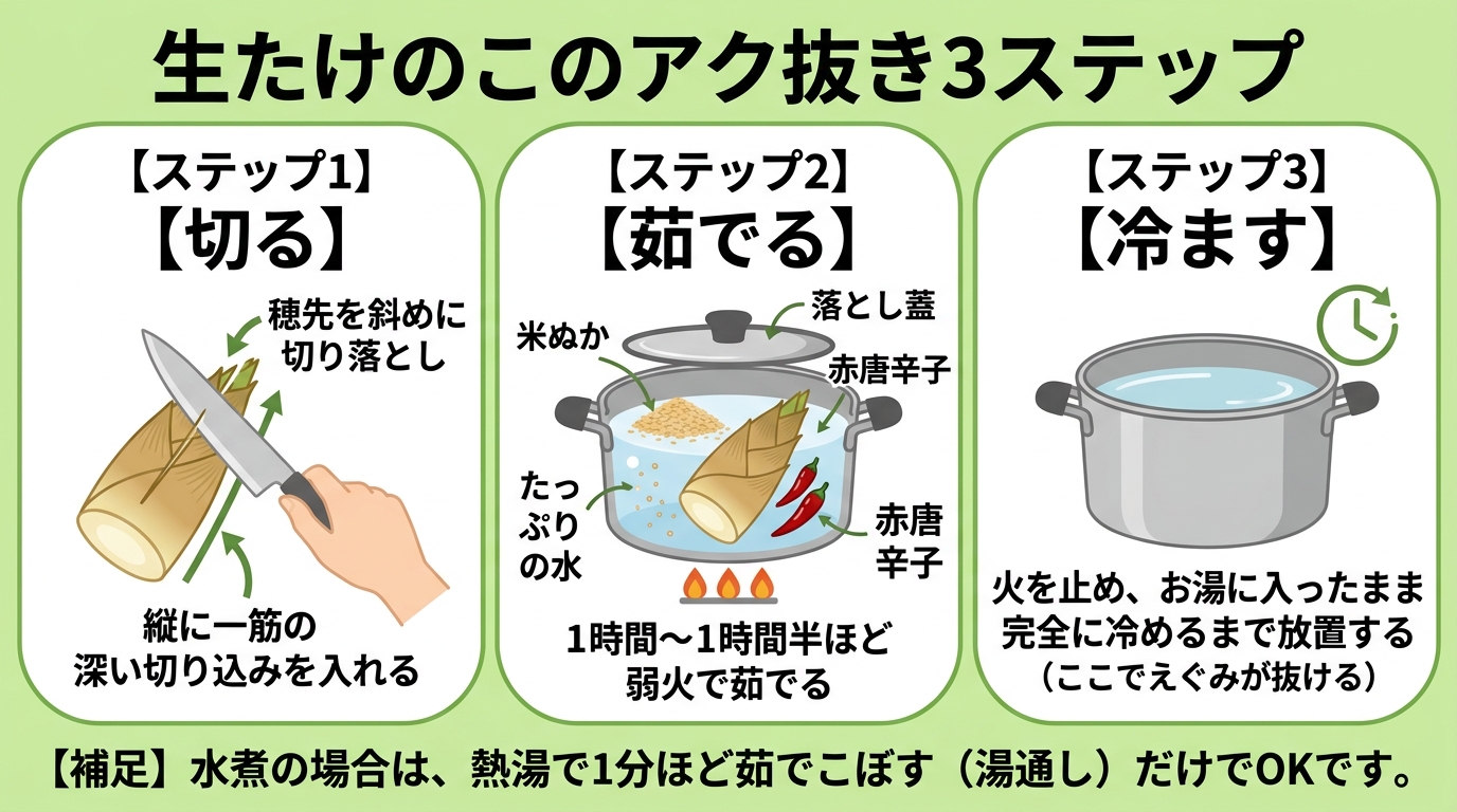 たけのこ 煮物の黄金比とアク抜き！失敗しないプロのコツのインフォグラフィック1