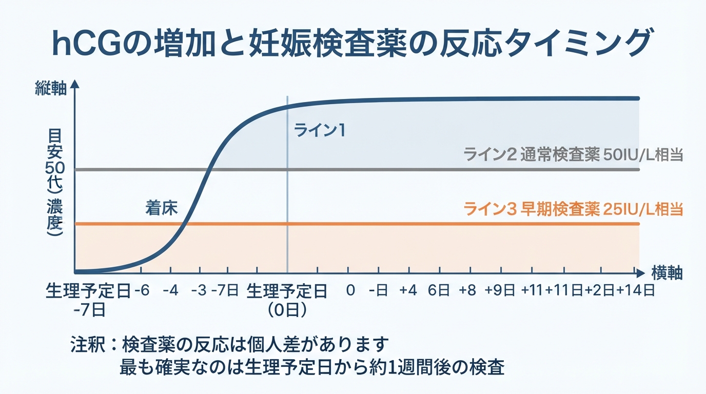 妊娠検査薬 フライング｜妊娠検査薬のフライングで陰性・薄い線が出のインフォグラフィック1