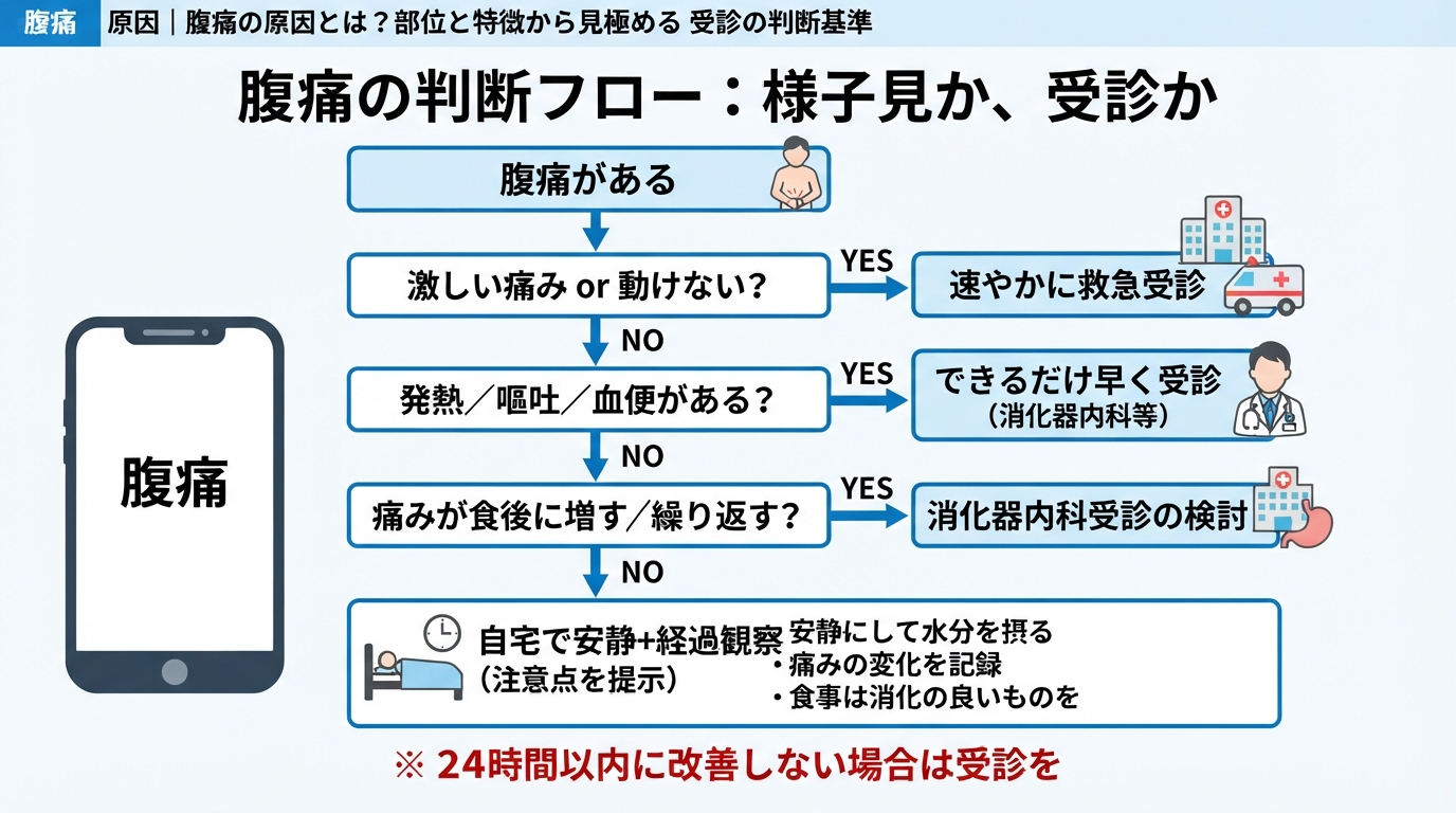 腹痛 原因｜腹痛の原因とは？部位と特徴から見極める受診の判断基準のインフォグラフィック1