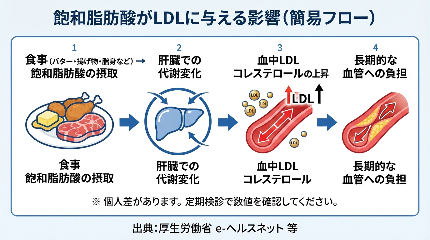 飽和脂肪酸とは？健診で焦った時の改善策とおすすめ食材のインフォグラフィック1