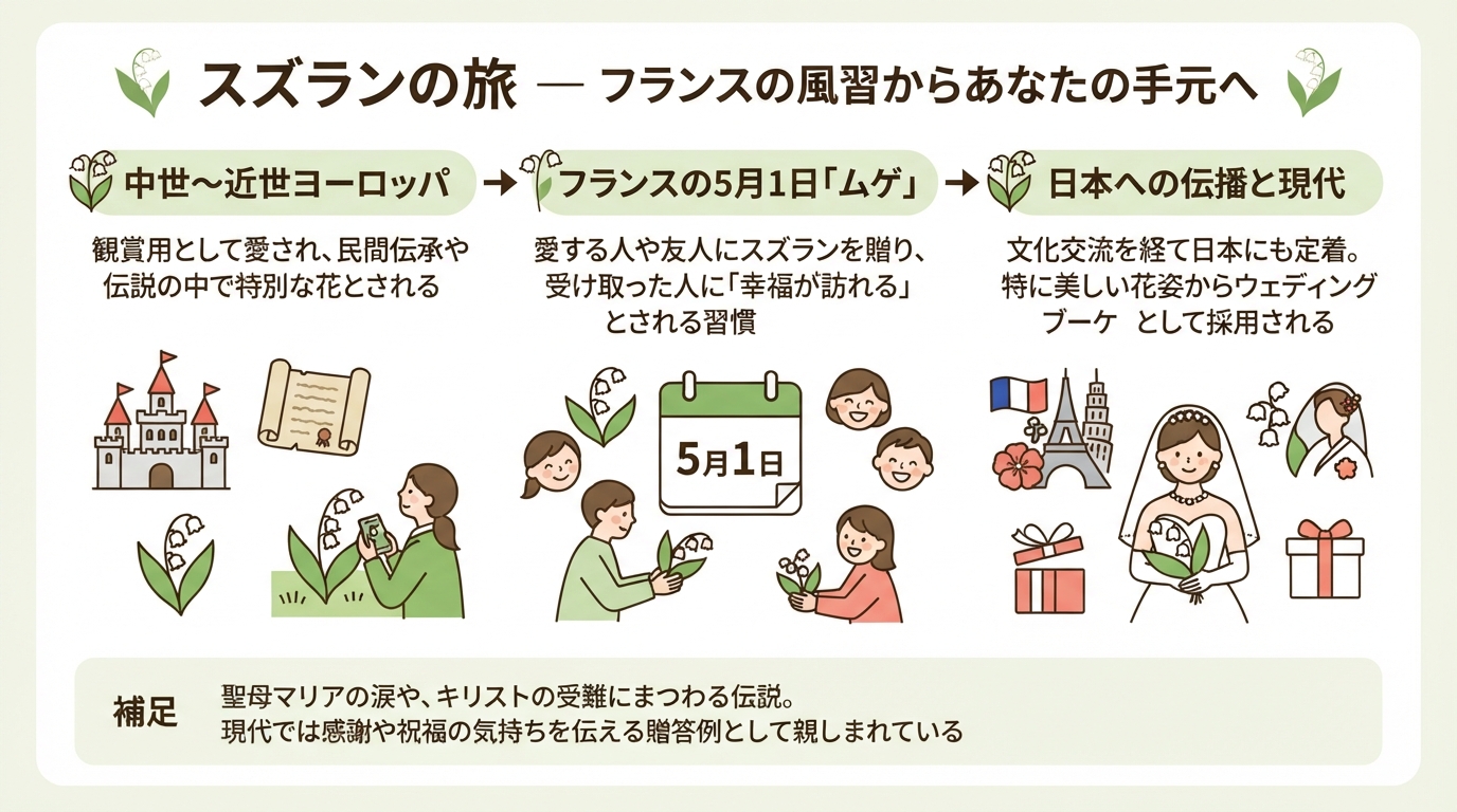 すずらん 花言葉｜すずらんの花言葉は怖い？意味の由来や結婚祝いののインフォグラフィック1