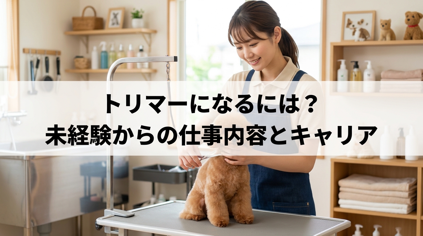 トリマーになるには？未経験からの仕事内容とキャリア