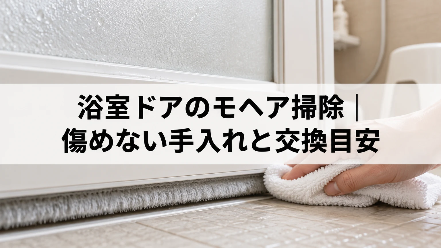浴室ドアのモヘア掃除：傷めない手入れと交換目安のイメージ