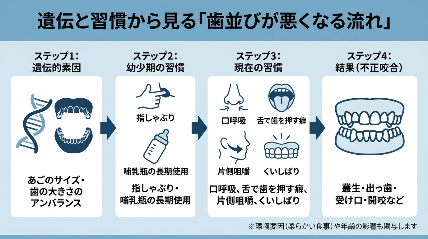 歯並びが気になる原因とは?放置リスクと大人からの判断基準のインフォグラフィック1