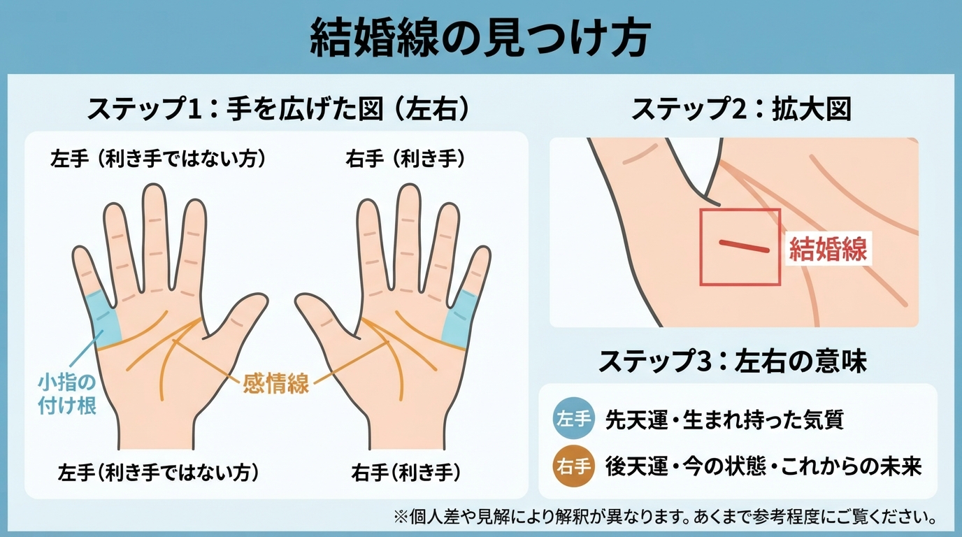 結婚線の意味とは?二股や薄い線の見方と変え方のインフォグラフィック1