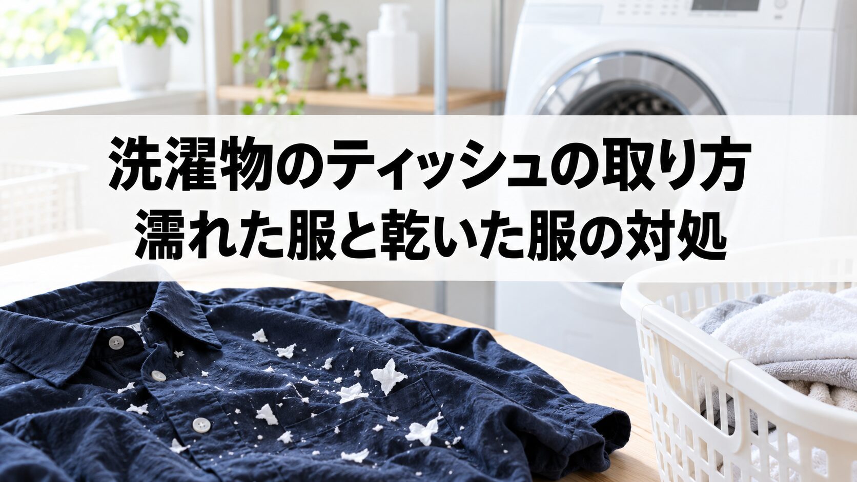 洗濯物のティッシュの取り方 濡れた服と乾いた服の対処