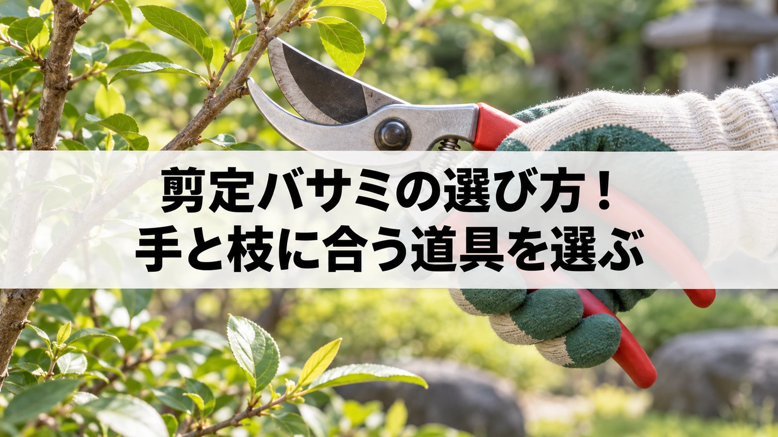 剪定バサミの選び方！手と枝に合う道具を選ぶの要点を表すイメージ