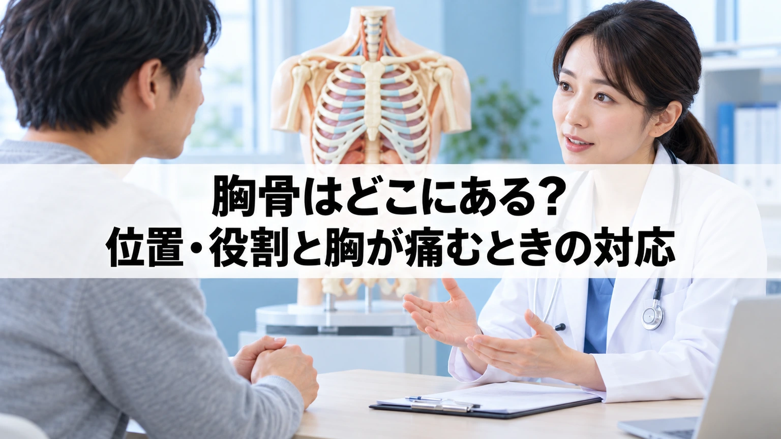 胸骨と肋骨の模型を用いて胸の症状を医師へ相談するイメージ